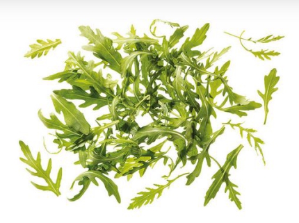 Rucola ganze Blätter KUGLER 250 g Aromabeutel