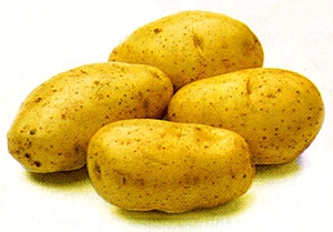 25 kg Sa. Grillkartoffel große Kartoffel FRA, DEU, ITA, NDL