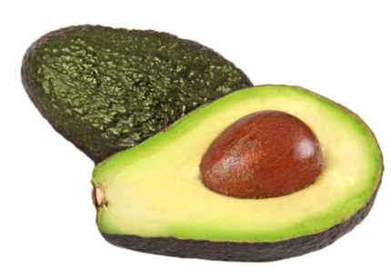 Avocados MAR HKL II