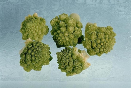 2x2,5 kg Bt. Romanesco 30/60 TK Spanien