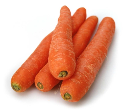 10 kg Sa. Karotten -große Ware- DEU, NDL, BEL, FRA