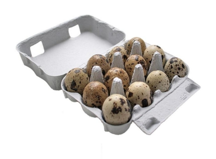 12 Stück Frische Wachteleier roh