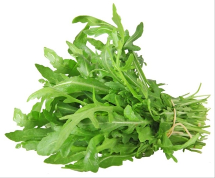 Rucola Salat Italien 1 kg Kiste