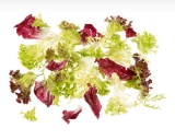 Frischsalatemischung Kira KUGLER 750 g Aromabeutel