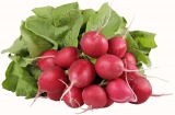 15 Bund/mind. 5 kg Radieschen HKL I