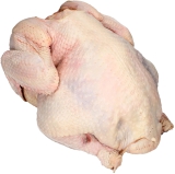 +Pute 6-8 kg ganz v. Henne frisch (Truthahn)