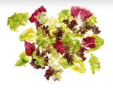 Frischsalatmischung Grandios KUGLER 750 g Aromabeutel