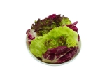 +1 kg Bt. Mischsalat Sommer TROI (Eisbergsalat/Radicchio/