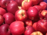 17 kg Kiste Äpfel rot Jonagold HKL II