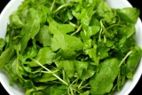 +500 g Bt. Rucola geputzt Troiber