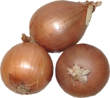 10 kg Sa. Zwiebeln weiß ITA, DEU, ESP, NDL, CHL