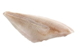 5 kg Kt. Paz. Schollendoppelfilet 140-160 g natur (20% Glasur) TK