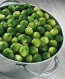 2,5 kg Bt. Rosenkohl 25/30 TK