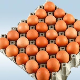 Eier Gewichtsklasse L braun Bodenhaltung