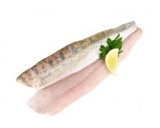 5 kg Kt. Zanderfilet 170/230 g TK mit Haut, 10% Glasur