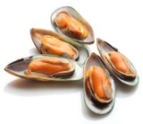 800 g Pa. Grünschalen-Muscheln TK 1/2 Schale 30-45 Stück/kg