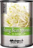 425 ml Ds. Mungobohnenkeimlinge THAI PRIDE KK 8730 ATG 220 g