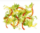 Frischsalatmischung Fitness KUGLER 1 kg Aromabeutel