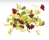 Frischsalatmischung Bravo KUGLER 1 kg Aromabeutel